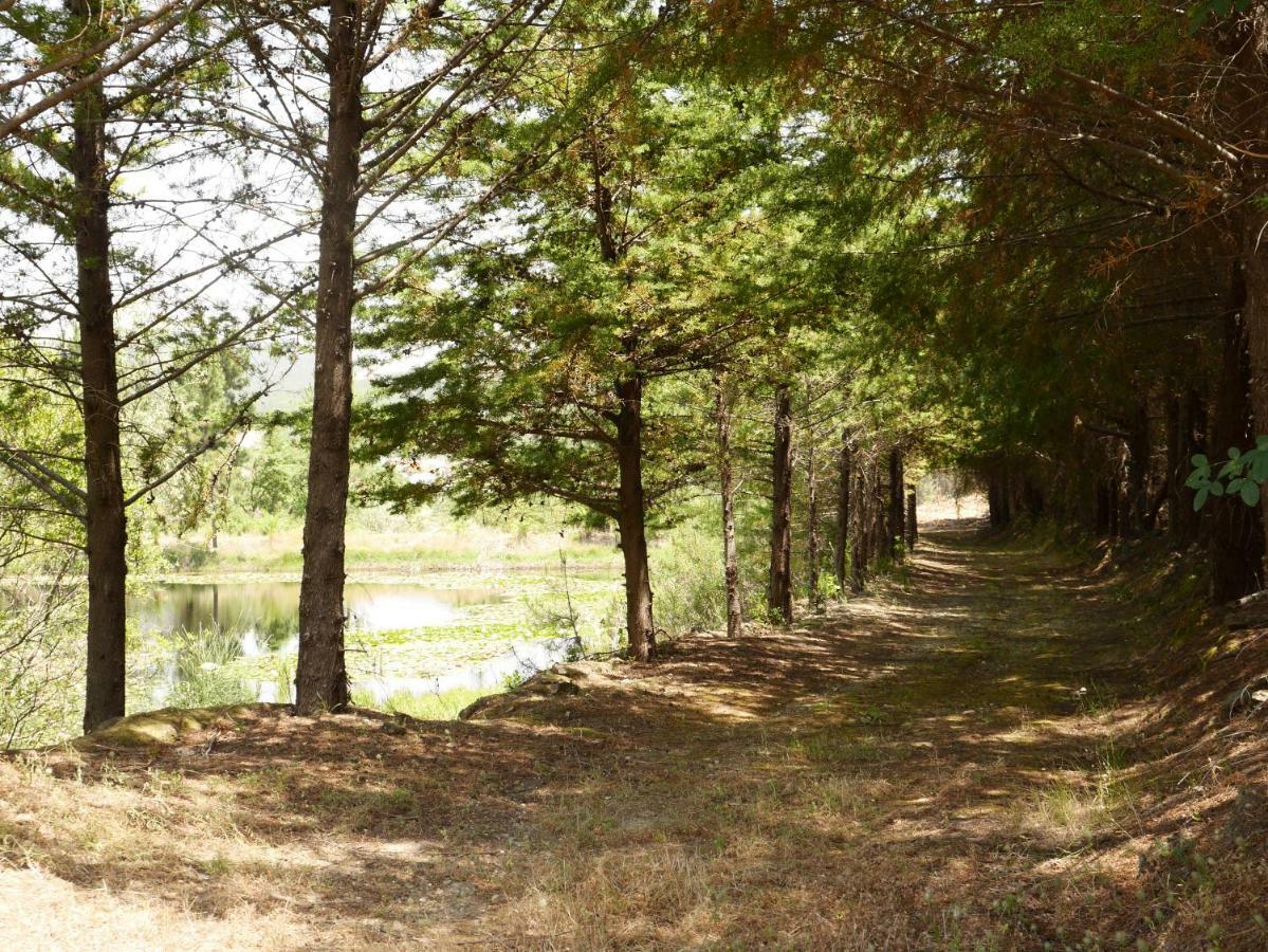 فيلا São Vicente da Beiraفي Quinta Nas Colinas المظهر الخارجي الصورة